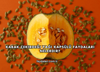 Kabak Çekirdeği Yağı Kapsülü Faydaları Nelerdir?
