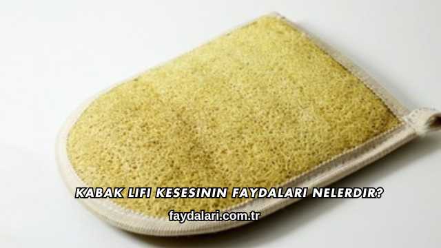 Kabak Lifi Kesesinin Faydaları Nelerdir?