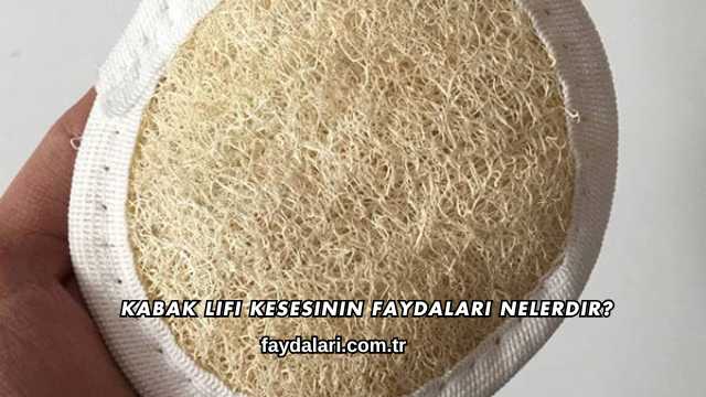 Kabak Lifi Kesesinin Faydaları Nelerdir?