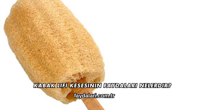 Kabak Lifi Kesesinin Faydaları Nelerdir?
