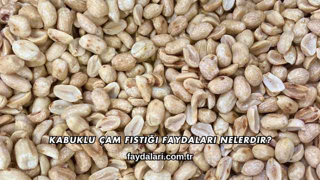 Kabuklu Çam Fıstığı Faydaları Nelerdir?