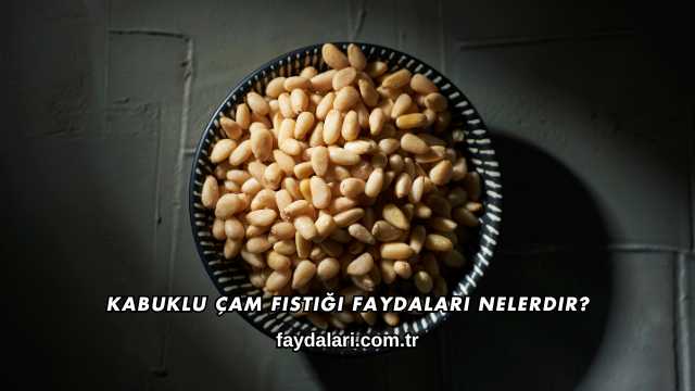 Kabuklu Çam Fıstığı Faydaları Nelerdir?
