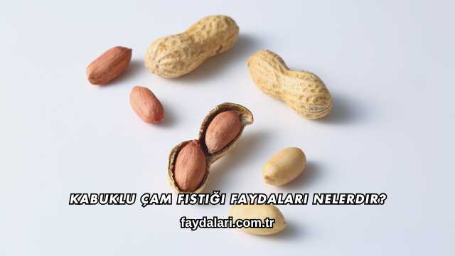 Kabuklu Çam Fıstığı Faydaları Nelerdir?