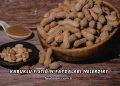 Kabuklu Fıstığın Faydaları Nelerdir?