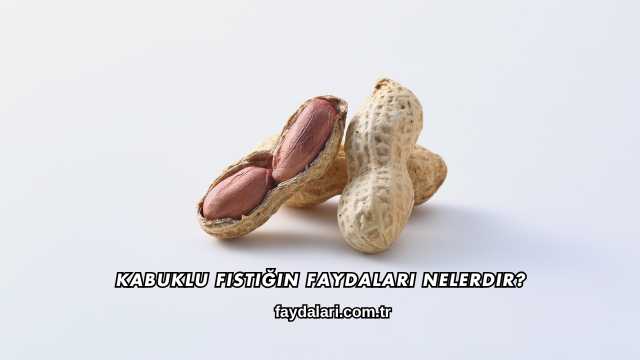 Kabuklu Fıstığın Faydaları Nelerdir?