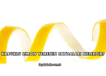 Kabuklu Limon Yemenin Faydaları Nelerdir?