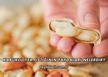 Kabuklu Yer Fıstığının Faydaları Nelerdir?