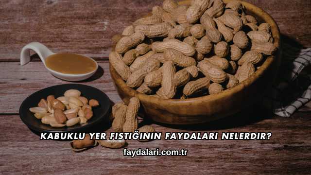 Kabuklu Yer Fıstığının Faydaları Nelerdir?