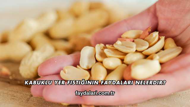 Kabuklu Yer Fıstığının Faydaları Nelerdir?