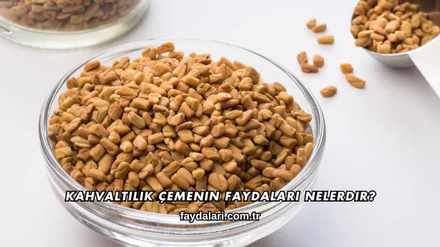 Kahvaltılık Çemenin Faydaları Nelerdir?