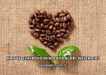 Kahve Çekirdeğinin Faydaları Nelerdir?