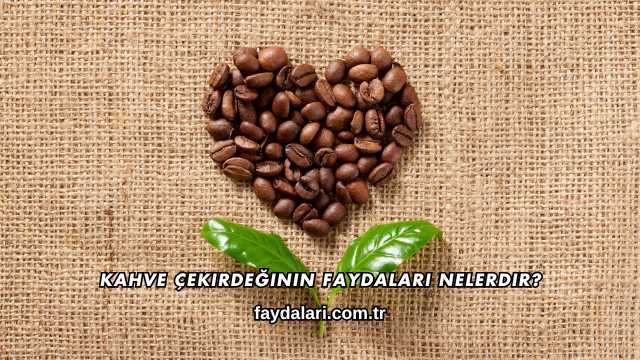 Kahve Çekirdeğinin Faydaları Nelerdir?