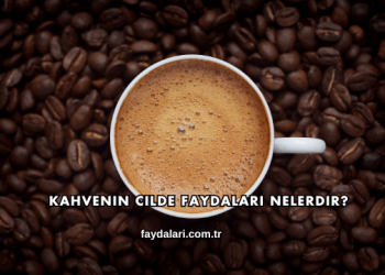 Kahvenin Cilde Faydaları Nelerdir?