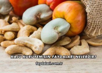 Kaju Kuruyemişin Faydaları Nelerdir?