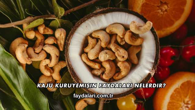 Kaju Kuruyemişin Faydaları Nelerdir?