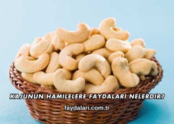 Kajunun Hamilelere Faydaları Nelerdir?