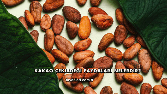Kakao Çekirdeği Faydaları Nelerdir?