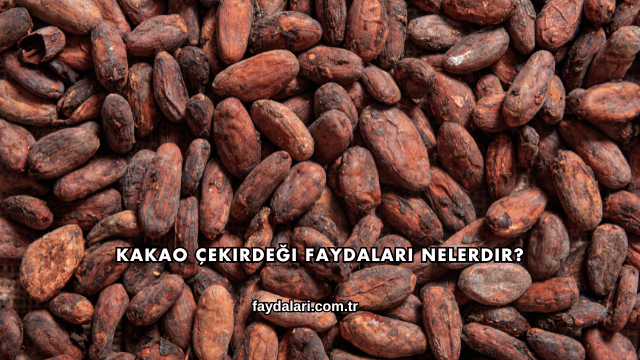 Kakao Çekirdeği Faydaları Nelerdir?