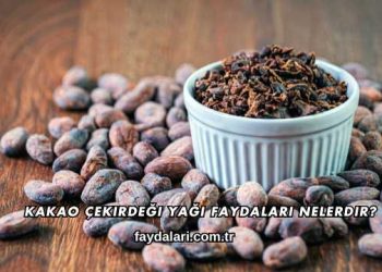 Kakao Çekirdeği Yağı Faydaları Nelerdir?