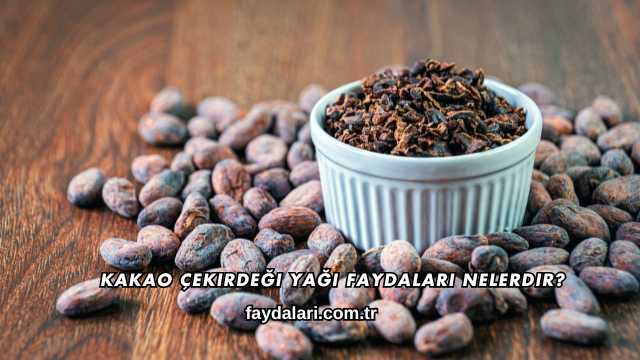 Kakao Çekirdeği Yağı Faydaları Nelerdir?