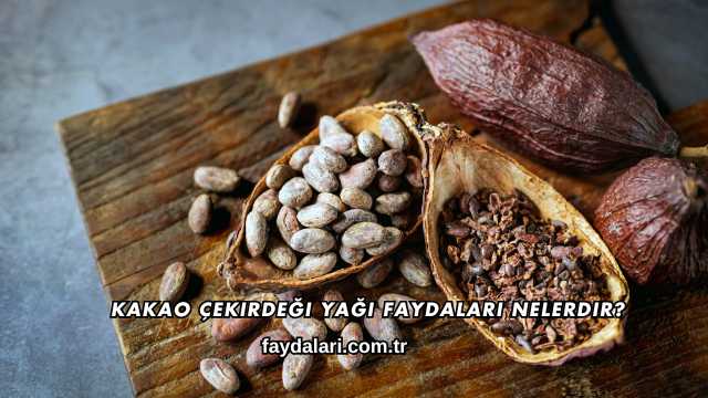 Kakao Çekirdeği Yağı Faydaları Nelerdir?
