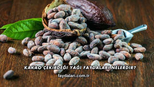 Kakao Çekirdeği Yağı Faydaları Nelerdir?