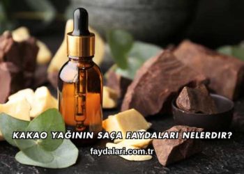 Kakao Yağının Saça Faydaları Nelerdir?