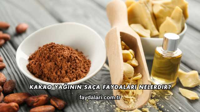 Kakao Yağının Saça Faydaları Nelerdir?
