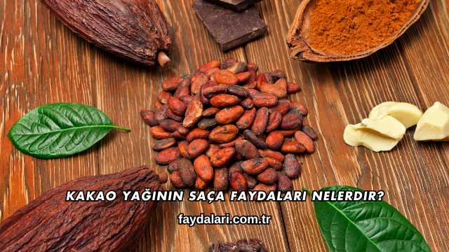 Kakao Yağının Saça Faydaları Nelerdir?