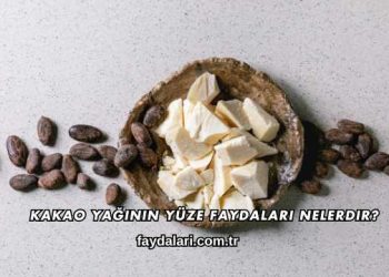 Kakao Yağının Yüze Faydaları Nelerdir?