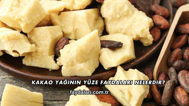 Kakao Yağının Yüze Faydaları Nelerdir?