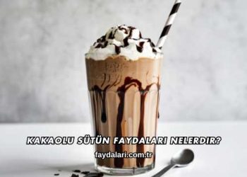 Kakaolu Sütün Faydaları Nelerdir?