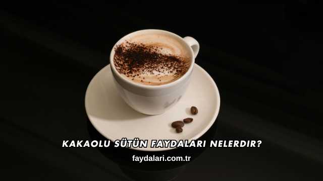 Kakaolu Sütün Faydaları Nelerdir?