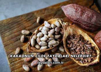 Kakaonun Cilde Faydaları Nelerdir?