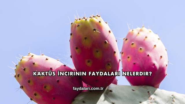 Kaktüs İncirinin Faydaları Nelerdir?