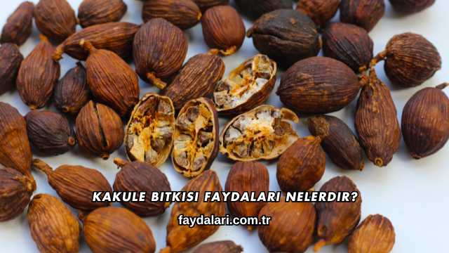 Kakule Bitkisi Faydaları Nelerdir?