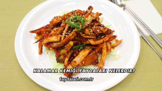 Kalamar Kemiği Faydaları Nelerdir?