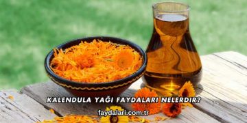 Kalendula Yağı Faydaları Nelerdir?