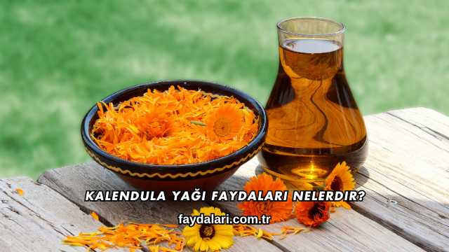 Kalendula Yağı Faydaları Nelerdir?
