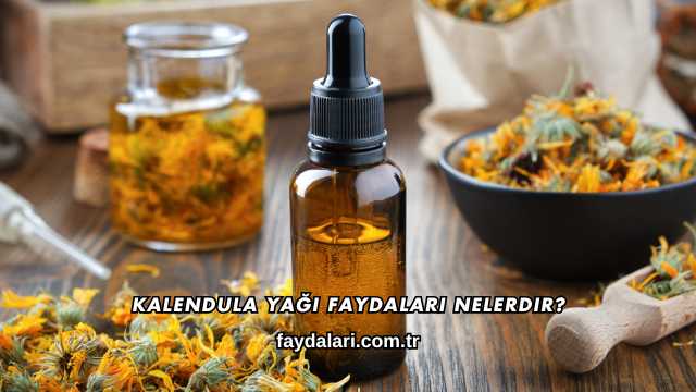 Kalendula Yağı Faydaları Nelerdir?