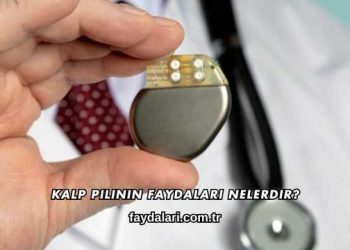 Kalp Pilinin Faydaları Nelerdir?