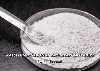 Kalsiyum Karbonat Faydaları Nelerdir?