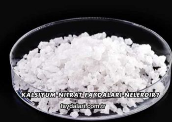 Kalsiyum Nitrat Faydaları Nelerdir?