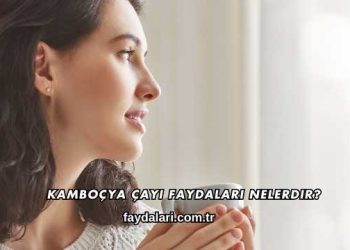 Kamboçya Çayı Faydaları Nelerdir?