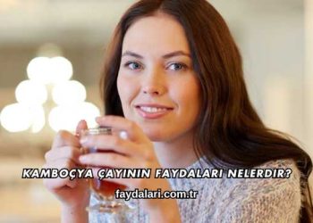 Kamboçya Çayının Faydaları Nelerdir?