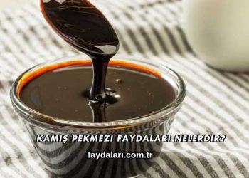 Kamış Pekmezi Faydaları Nelerdir?
