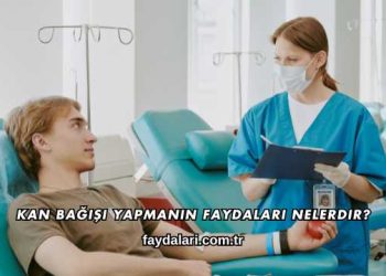 Kan Bağışı Yapmanın Faydaları Nelerdir?