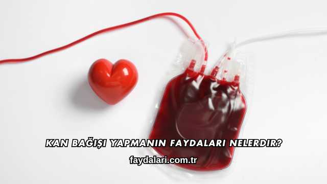 Kan Bağışı Yapmanın Faydaları Nelerdir?