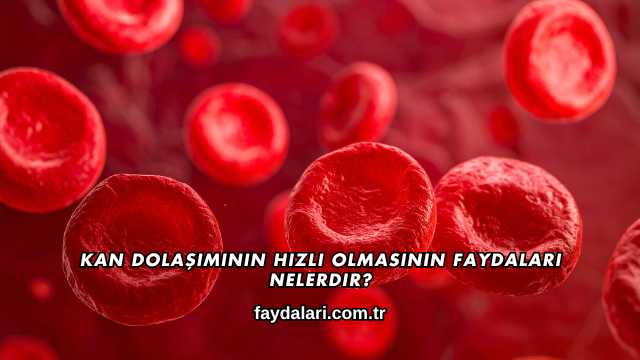 Kan Dolaşımının Hızlı Olmasının Faydaları Nelerdir?