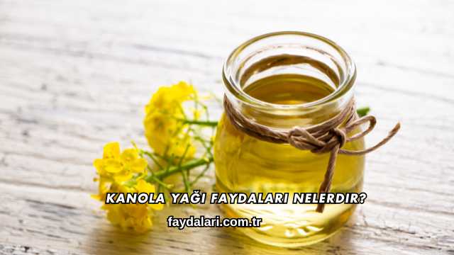 Kanola Yağı Faydaları Nelerdir